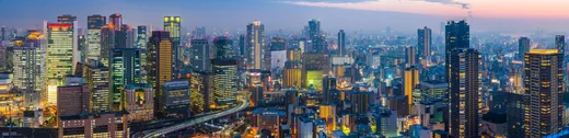 眼下に広がる、夜の大都市のスカイライン